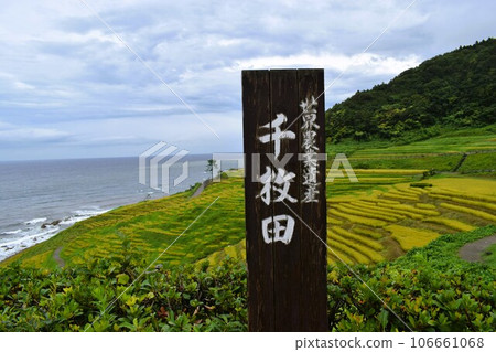 輪島市千枚田 106661068