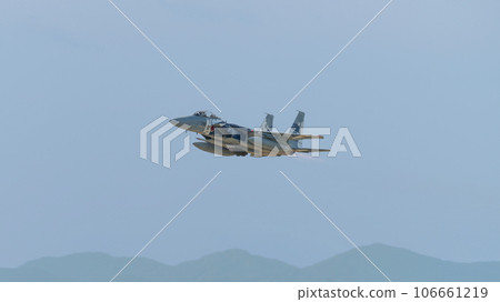 Air Self-Defense Force Flight Instruction Group F-15DJ Eagle Air Self-Defense Force Flight Instruction Group F-15DJ Eagle 106661219