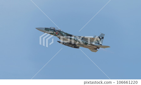 航空自衛隊飛行指導大隊 F-15DJ 鷹升 106661220