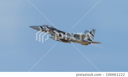 Air Self-Defense Force Flight Instruction Group F-15DJ Eagle Ascent Air Self-Defense Force Flight Instruction Group F-15DJ Eagle Ascent 106661222