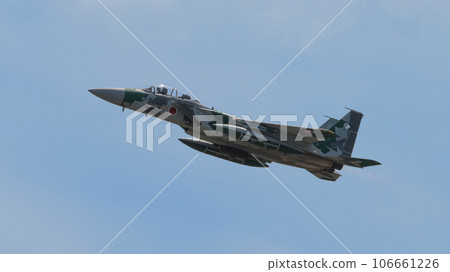 航空自衛隊飛行指導大隊 F-15DJ 鷹升 106661226
