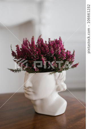 Purple heather at the vase sculpture of the head on the table in the interior of a cozy house Purple heather at the vase sculpture of the head on the table in the interior of a cozy house 106661282