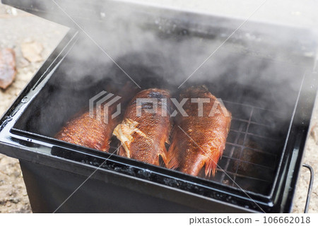 Smoked fish in smokehouse box.  106662018