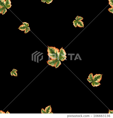 Pattern with autumn leaves in watercolor, hand drawing, botanical painting for design. Template for packaging and sticker elements for packaging, wallpaper, fabrics, textiles 106663136