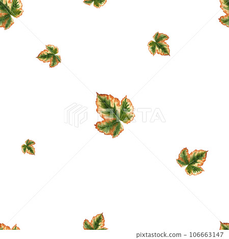 Pattern with autumn leaves in watercolor, hand drawing, botanical painting for design. Template for packaging and sticker elements for packaging, wallpaper, fabrics, textiles 106663147