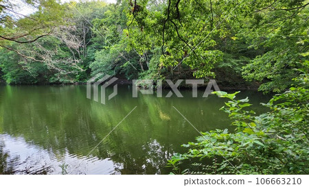 湖泊和樹木的風景 106663210