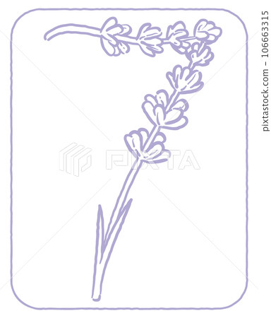 薰衣草素描風格,設計字母數字。 “7”。矢量材料。 薰衣草素描風格,設計字母數字。 “7”。矢量材料。 106663315