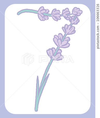 薰衣草素描風格，設計字母數字。 “7”。矢量材料。 106663316