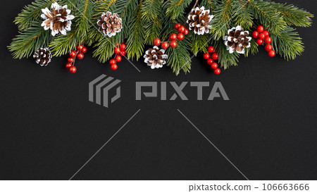 Christmas black background with fir tree, cones and berries. Copyspace. 106663666