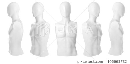 The mannequin's body 106663782