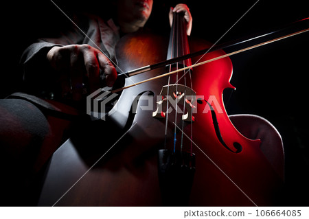 Musician playing cello Musician playing cello 106664085