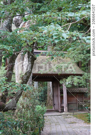 長野縣駒根市光前寺、靈犬、早太郎、靈犬傳說、早太郎、寺廟、神社、歷史 長野縣駒根市光前寺、靈犬、早太郎、靈犬傳說、早太郎、寺廟、神社、歷史 106664107
