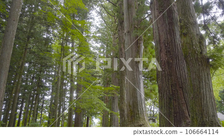 長野縣駒根市光前寺、靈犬、早太郎、靈犬傳說、早太郎、寺廟、神社、歷史 106664114