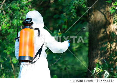 A worker sprays pesticides on trees outdoors, close-up. Pest control 106665118