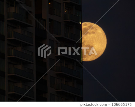 Full moon peeking through the building 106665175