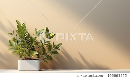 Minimalistic light background with blurred foliage shadow on a white wall. Beautiful background for presentation with with smooth floor 106665255