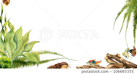 Hand drawn watercolor aquarium fish, algae and sealife. Marine exotic underwater illustration. Isolated on white background. Frame border. Design for shops, brochure, print, card, wall art, textile. 106665355