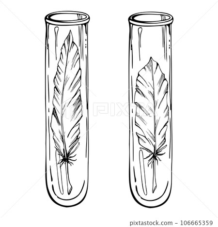 Hand drawn ink vector glass vial test tube with bird feather. Sketch illustration art witchcraft, medicine chemistry, alchemy. Isolated object outline. Design shop, logo, print, website, card, booklet Hand drawn ink vector glass vial test tube with bird feather. Sketch illustration art witchcraft, medicine chemistry, alchemy. Isolated object outline. Design shop, logo, print, website, card, booklet 106665359