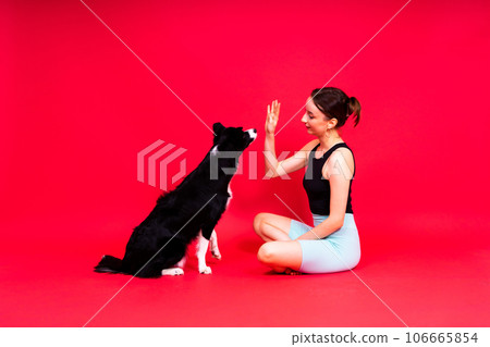 Caucasian woman training border collie dog. Concept of relationship between human and animal. 106665854
