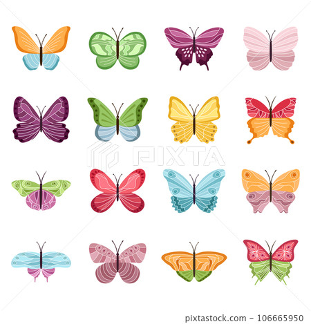 Set of color butterflies on white background, vector illustration 106665950