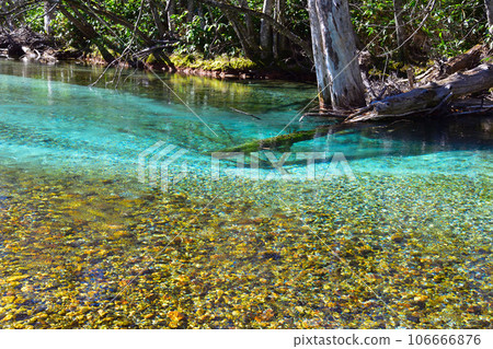 淀川上高知 106666876