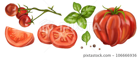 A set of ripe red tomatoes. Fruits of vegetables, slices, basil leaves, peppers. Digital illustration on a white background. Farmer's harvest of healthy organic products. For menus, business cards A set of ripe red tomatoes. Fruits of vegetables, slices, basil leaves, peppers. Digital illustration on a white background. Farmer's harvest of healthy organic products. For menus, business cards 106666936