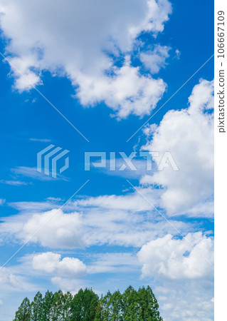 Sky and trees background material Sky and trees background material 106667109