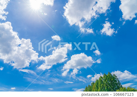 天空和樹木背景素材 106667123