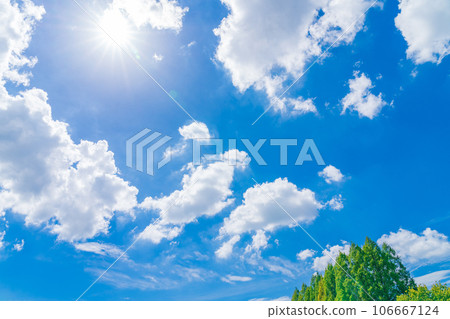 天空和樹木背景素材 106667124