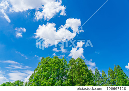 天空和樹木背景素材 天空和樹木背景素材 106667128