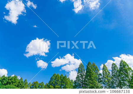 Sky and trees background material Sky and trees background material 106667138
