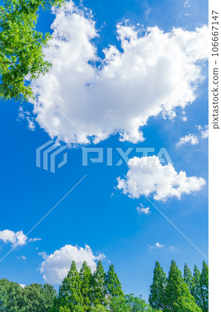 Sky and trees background material Sky and trees background material 106667147