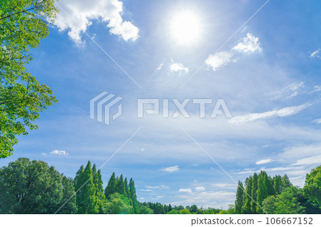 Sky and trees background material Sky and trees background material 106667152