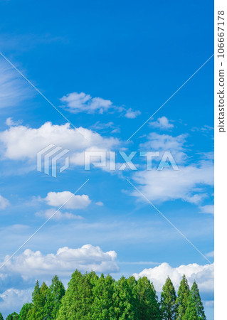 Sky and trees background material 106667178
