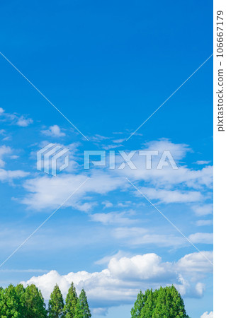 Sky and trees background material Sky and trees background material 106667179