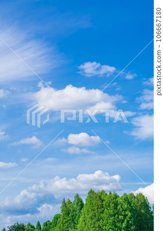Sky and trees background material Sky and trees background material 106667180