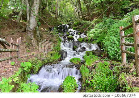 A mountain stream (waterfall) flowing vigorously amidst fresh greenery, a waterfall of strong water, Numata City, Gunma Prefecture (submerged waterfall) A mountain stream (waterfall) flowing vigorously amidst fresh greenery, a waterfall of strong water, Numata City, Gunma Prefecture (submerged waterfall) 106667374