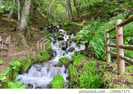 A mountain stream (waterfall) flowing vigorously amidst fresh greenery, a waterfall of strong water, Numata City, Gunma Prefecture (submerged waterfall) 106667375
