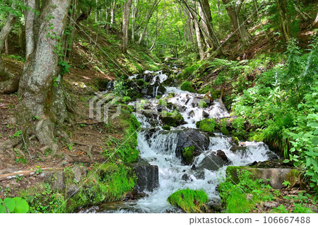 A mountain stream (waterfall) flowing vigorously amidst fresh greenery, a waterfall of strong water, Numata City, Gunma Prefecture (submerged waterfall) A mountain stream (waterfall) flowing vigorously amidst fresh greenery, a waterfall of strong water, Numata City, Gunma Prefecture (submerged waterfall) 106667488