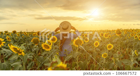Woman sunflower field. Happy girl in blue dress and straw hat posing in a vast field of sunflowers at sunset. Summer time. Woman sunflower field. Happy girl in blue dress and straw hat posing in a vast field of sunflowers at sunset. Summer time. 106667572