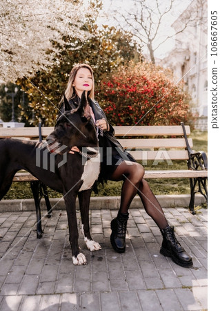 A woman walks with her Great Dane in an urban setting, enjoying the outdoors and the company of her dog. 106667605