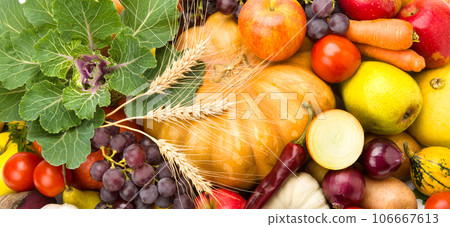 A set of fruits and vegetables. Beautiful background. 106667613