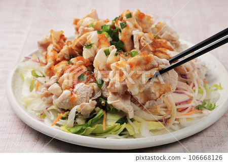 豬肉的冷涮鍋 豬肉的冷涮鍋 106668126