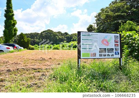 Denotame Ruins, Kitamoto City, Saitama Prefecture 106668235