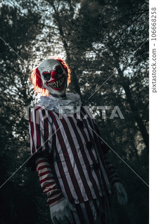 mad evil clown stares at the observer in the woods mad evil clown stares at the observer in the woods 106668258