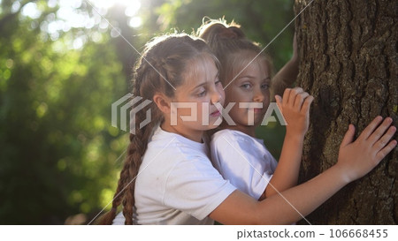 children hugging a tree in the forest. happy family childhood dream concept. children spend time together outdoors and lifestyle hug the trunk of a tree. environmental protection love for nature children hugging a tree in the forest. happy family childhood dream concept. children spend time together outdoors and lifestyle hug the trunk of a tree. environmental protection love for nature 106668455