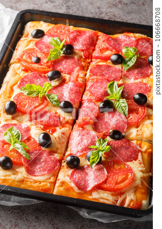 Rectangular pizza with cheese, salami sausage, olives and tomatoes close-up in a baking sheet. Vertical 106668708