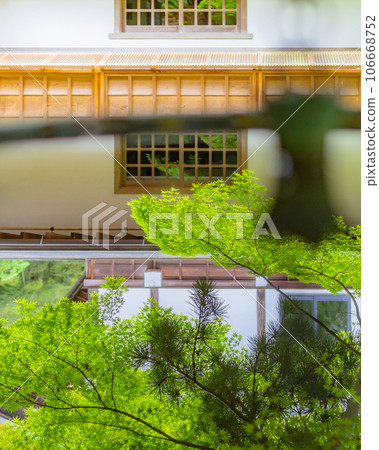 [Kanagawa Prefecture] The precincts of Kakuonji Temple reflected in the rainwater bowl *Photography cooperation "Kakuonji" property release already acquired 106668752