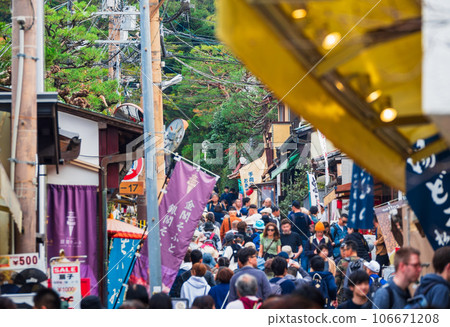 Overtourism/Tourism Pollution Image Kyoto *Partly soft focus 106671208