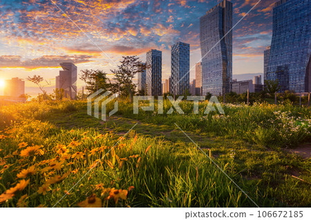 Sunset in korea, Songdo Central Park in Songdo District, Incheon South Korea. Sunset in korea, Songdo Central Park in Songdo District, Incheon South Korea. 106672185
